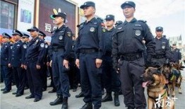 惠东吉隆警察爆料事件视频,真相与争议交织